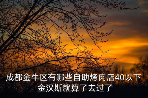 成都市金牛區自助餐在哪里，成都金牛區有哪些自助烤肉店40以下 金漢斯就算了去過了
