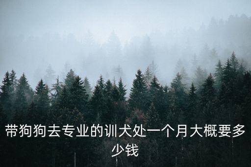 帶狗狗去專業(yè)的訓(xùn)犬處一個(gè)月大概要多少錢