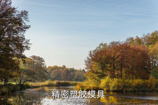重慶市思凱精密模具，精密塑膠模具