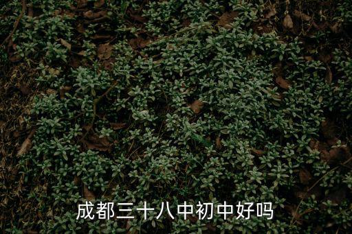 成都三十八中初中好嗎