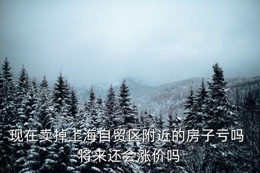 現在賣掉上海自貿區附近的房子虧嗎 將來還會漲價嗎