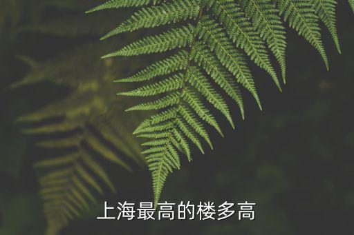 上海最高的樓多高