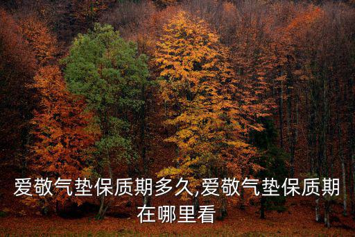 氣墊保質(zhì)期,愛敬氣墊保質(zhì)期多久?