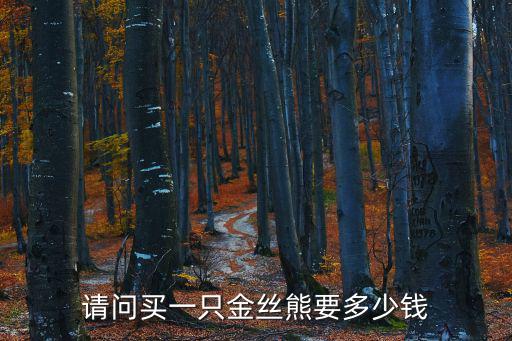 請(qǐng)問(wèn)買一只金絲熊要多少錢