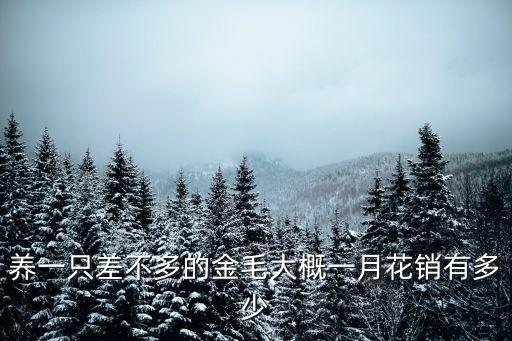 養一只差不多的金毛大概一月花銷有多少