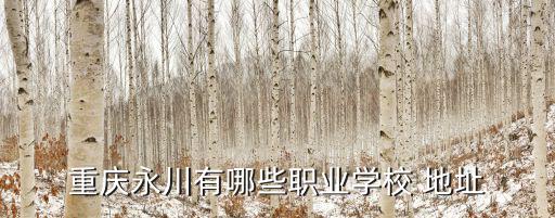 重慶永川有哪些職業學校 地址