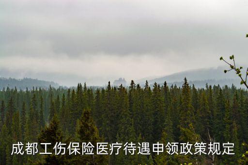 成都工傷保險醫(yī)療待遇申領(lǐng)政策規(guī)定