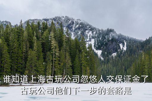 上海市古玩詐騙，上海古董拍賣詐騙員工承擔什么責任