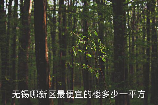 無錫哪新區最便宜的樓多少一平方