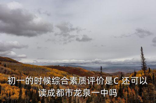 初一的時候綜合素質評價是C 還可以讀成都市龍泉一中嗎