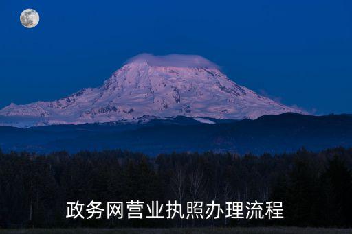 政務網營業執照辦理流程