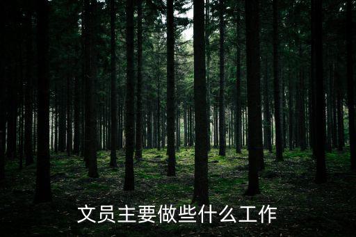 文員主要做些什么工作