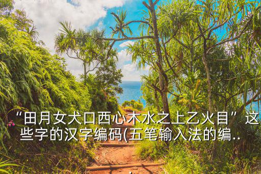 “田月女犬口西心木水之上乙火目”這些字的漢字編碼(五筆輸入法的編...