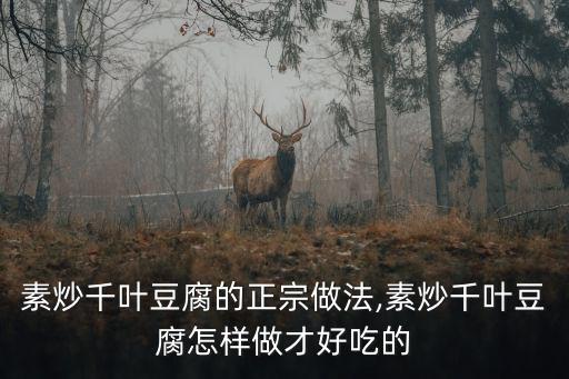 素炒千葉豆腐的正宗做法,素炒千葉豆腐怎樣做才好吃的