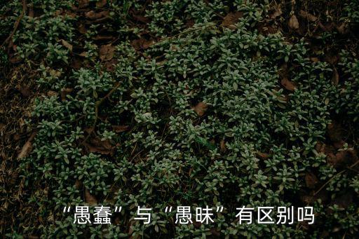 愚昧,愚蠢與愚昧有區別嗎?