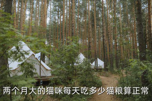 兩個月大小貓喂多少等下它吃，兩個月貓一個月吃多少