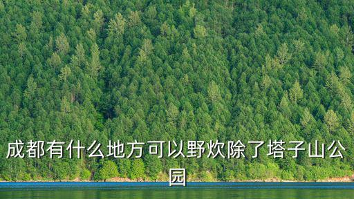 成都有什么地方可以野炊除了塔子山公園