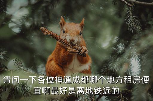 請問一下各位神通成都哪個地方租房便宜啊最好是離地鐵近的