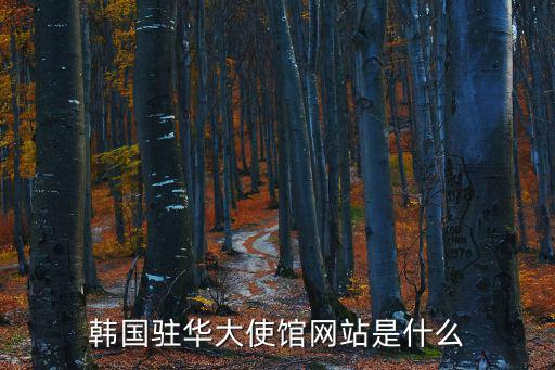 韓國駐華大使館網(wǎng)站是什么