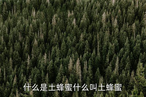 什么是土蜂蜜什么叫土蜂蜜