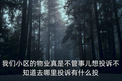 我們小區的物業真是不管事兒想投訴不知道去哪里投訴有什么投