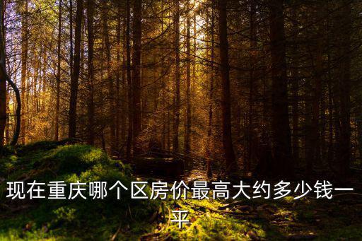現在重慶哪個區房價最高大約多少錢一平