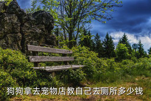 訓(xùn)練狗狗大小便多少錢，訓(xùn)狗多少錢要訓(xùn)練狗狗在外面大小便3個(gè)月拉不拉多