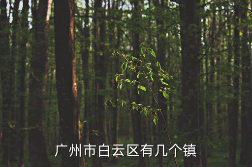 廣州市白云區有幾個鎮