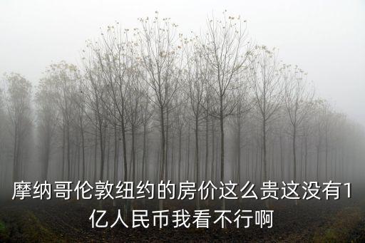 摩納哥倫敦紐約的房價這么貴這沒有1億人民幣我看不行啊