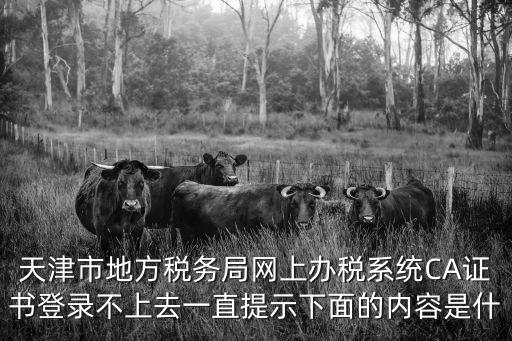 天津市地稅ca證書還能用，天津地稅ca證書現在還用去稅務局考初始化文件嗎