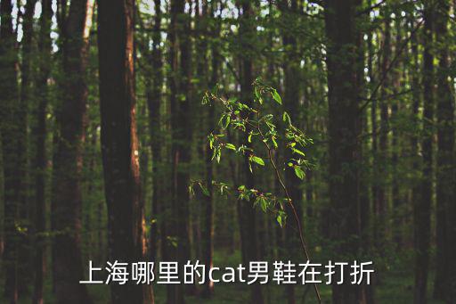 上海哪里的cat男鞋在打折
