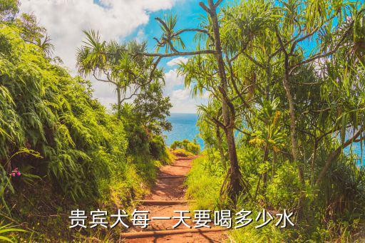 6斤的狗一天喝多少水，三個月的比格犬一天要給它喝多少水