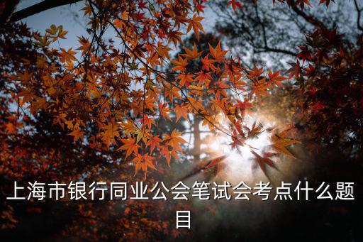 上海市銀行同業(yè)公會筆試會考點什么題目