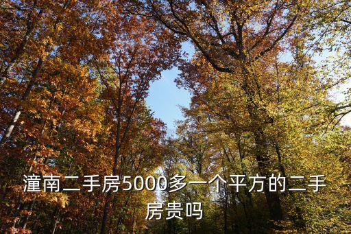 潼南二手房5000多一個平方的二手房貴嗎