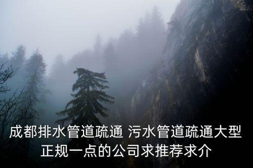 成都排水管道疏通 污水管道疏通大型正規一點的公司求推薦求介