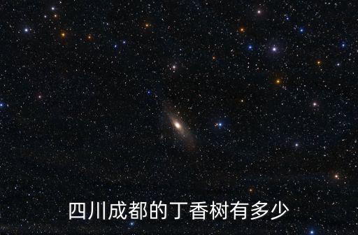 四川成都的丁香樹有多少