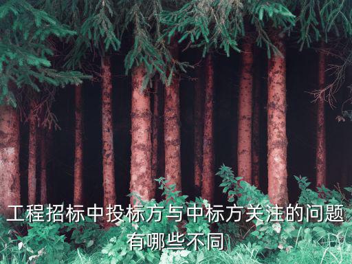 工程招標中投標方與中標方關注的問題有哪些不同