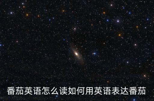 番茄英語怎么讀如何用英語表達番茄