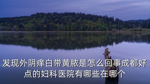 發(fā)現(xiàn)外陰癢白帶黃膿是怎么回事成都好點的婦科醫(yī)院有哪些在哪個