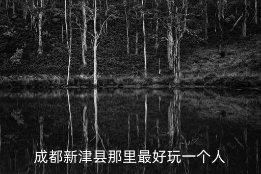 成都新津縣那里最好玩一個人