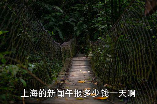 上海的新聞午報多少錢一天啊