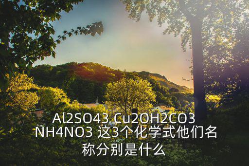 河南3名干部擬任新職，未出席的3名中委和2名候委是誰