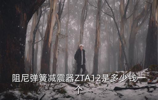 阻尼彈簧減振器，阻尼彈簧減震器ZTA12是多少錢一個