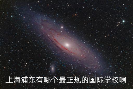 上海浦東有哪個最正規(guī)的國際學(xué)校啊