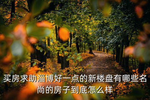 買房求助淄博好一點(diǎn)的新樓盤有哪些名尚的房子到底怎么樣