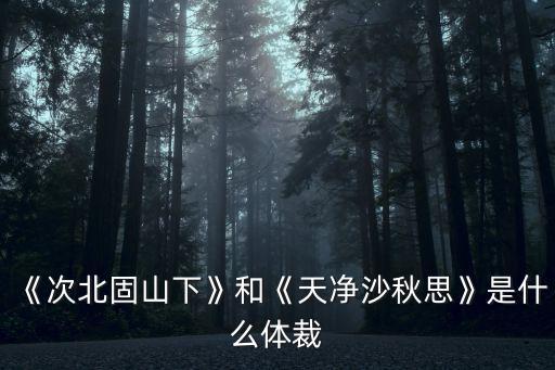 《次北固山下》和《天凈沙秋思》是什么體裁