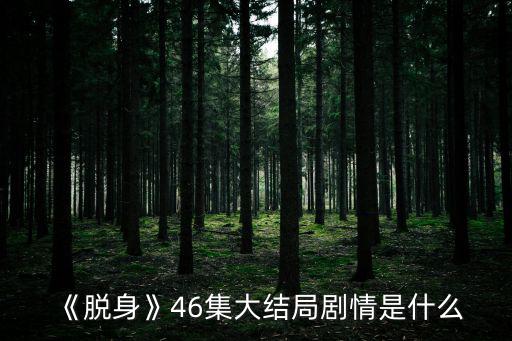 脫身大結(jié)局,《脫身》大結(jié)局:費(fèi)儷娜和毛六爺同歸于盡