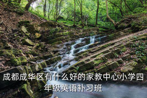 成都成華區有什么好的家教中心小學四年級英語補習班