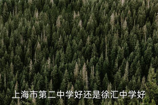 上海市第二中學好還是徐匯中學好