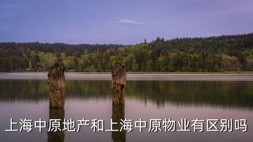 上海中原地產和上海中原物業有區別嗎